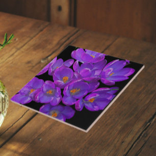 Azulejo De Cerâmica Belo Primavera roxo Crocuss Floral