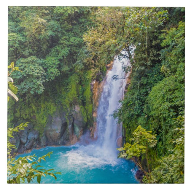 Azulejo De Cerâmica Belo Relaxamento da Caipira Única Azul na Selva (Frente)