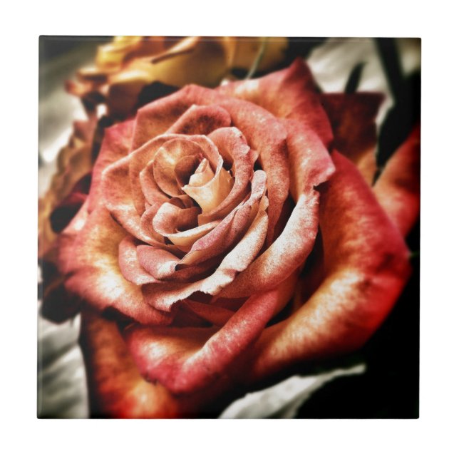 Azulejo De Cerâmica Belo Rosa (Frente)