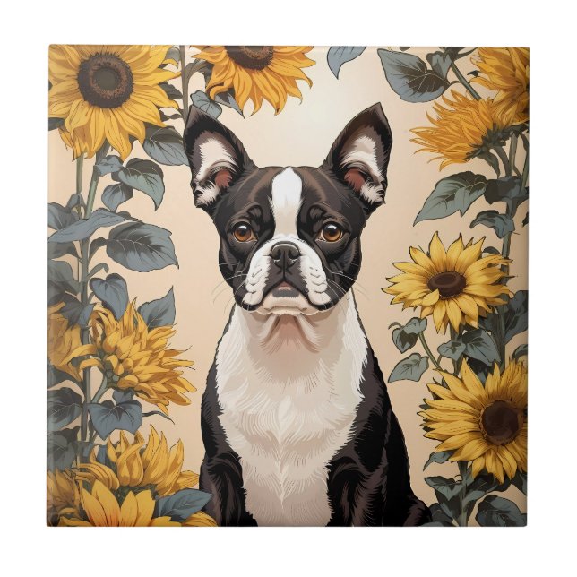 Azulejo De Cerâmica Belo Sol Amarelo de Boston Terrier (Frente)