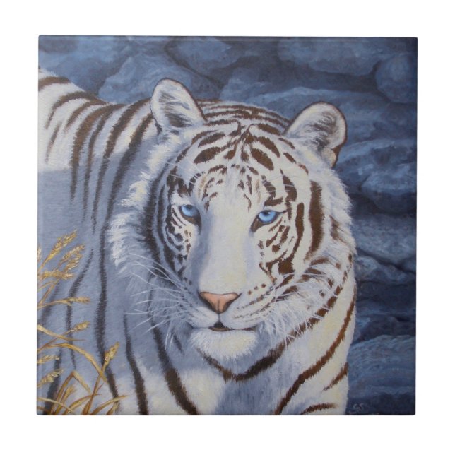 Azulejo De Cerâmica Belo Tigre Branco com Olhos Azuis Cristais (Frente)