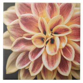 Azulejo De Cerâmica Belo Verão Dahlia Flower (Bonito Arte Floral)