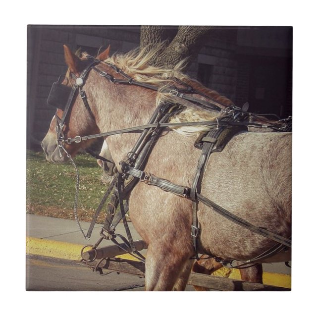 Azulejo De Cerâmica Belos Cavalos (Frente)
