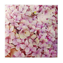 Azulejo De Cerâmica Belos Flores de Hydrangea