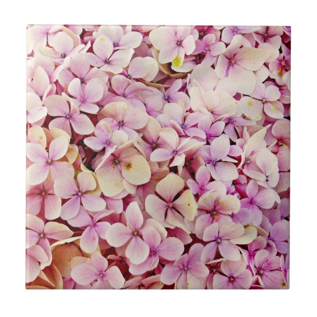 Azulejo De Cerâmica Belos Flores de Hydrangea (Frente)