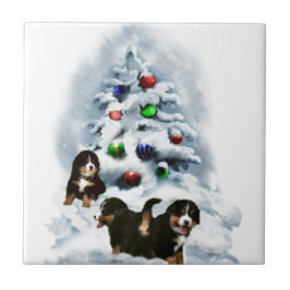 Azulejo De Cerâmica Bernese Mountain Dog Natal