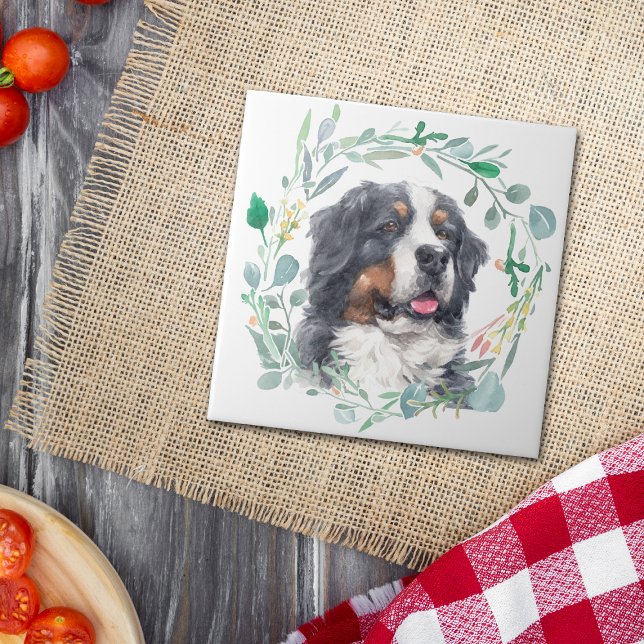 Azulejo De Cerâmica Bernese Mountain Dog Watercolor Wreath (Criador carregado)