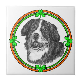 Azulejo De Cerâmica Bernese Mtn Dog St Patricks