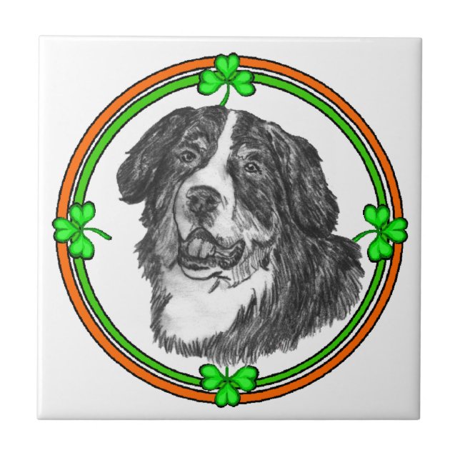 Azulejo De Cerâmica Bernese Mtn Dog St Patricks (Frente)