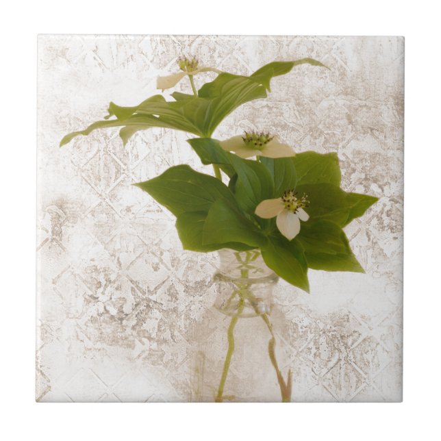 Azulejo De Cerâmica Berry De Dogwood Texturizado Em Jar Ainda Life (Frente)