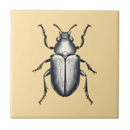 Azulejo De Cerâmica Besouro Negro