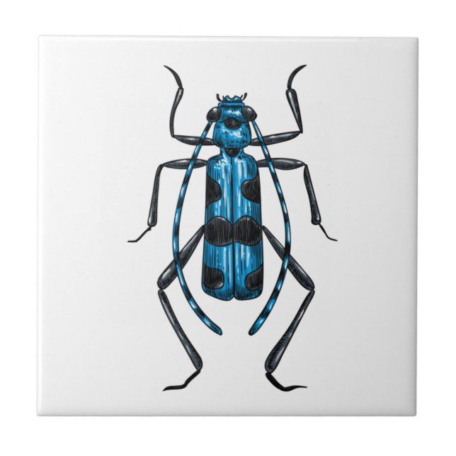 Azulejo De Cerâmica besouro Rosalia Alpina (Frente)