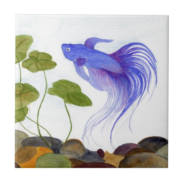 Azulejo De Cerâmica Betta Fish (Frente)