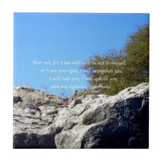 Azulejo De Cerâmica Bíblia Versa citação Inspiracional Isaiah 41:10