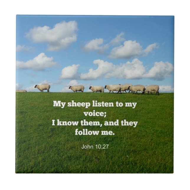 Azulejo De Cerâmica Bíblia verso, John 10:27, (Frente)