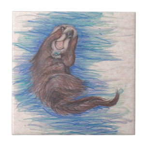 Azulejo De Cerâmica Bicho pequeno do animal selvagem de lontra de mar