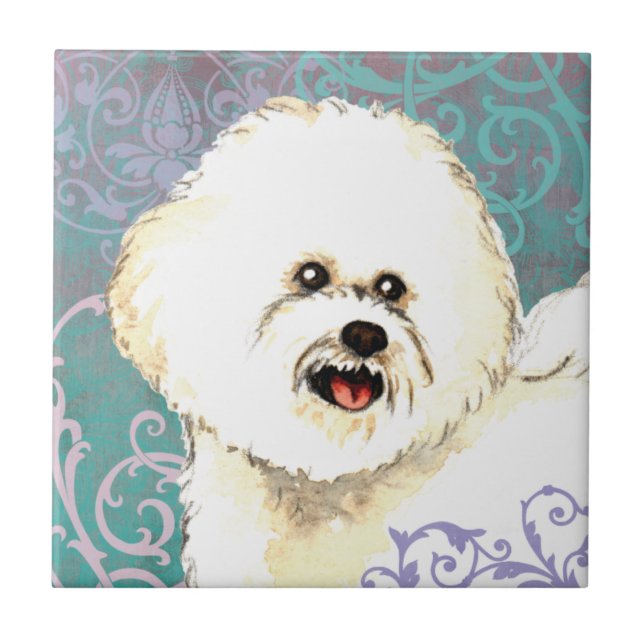 Azulejo De Cerâmica Bichon elegante Frise (Frente)
