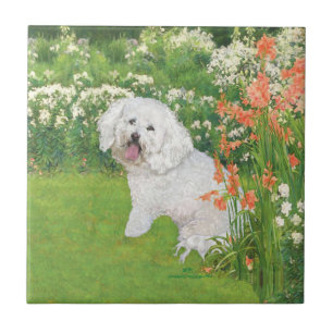 Azulejo De Cerâmica Bichon Frise Fantasia Coral