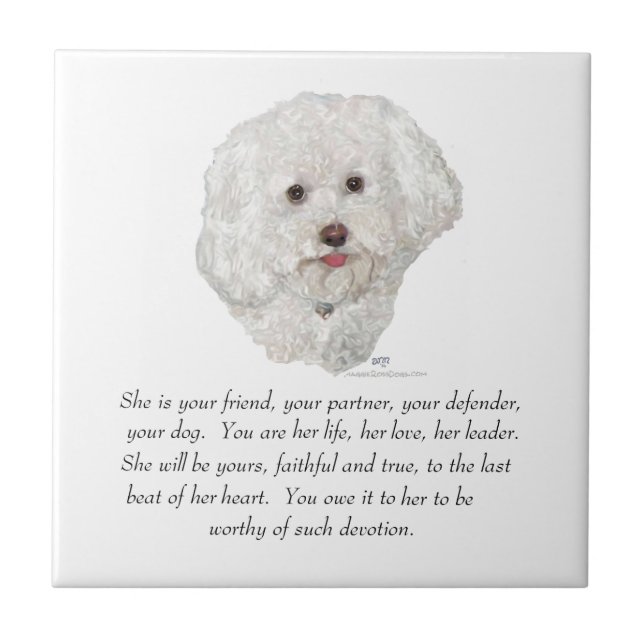 Azulejo De Cerâmica Bichon Frise KeepsasaemFEMALE (Frente)