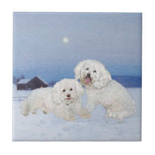 Azulejo De Cerâmica Bichon Frise Noite de Dezembro