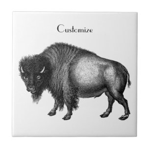 Azulejo De Cerâmica Big Bison Buffalo Thunder_Cove