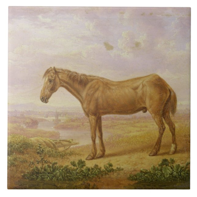 Azulejo De Cerâmica Billy idoso, um cavalo de esboço, envelhecido 62 (Frente)