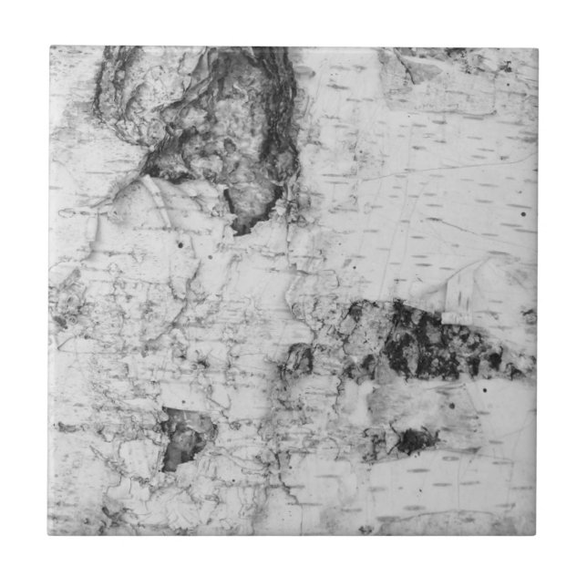 Azulejo De Cerâmica Birch bark pattern ceramic tile (Frente)