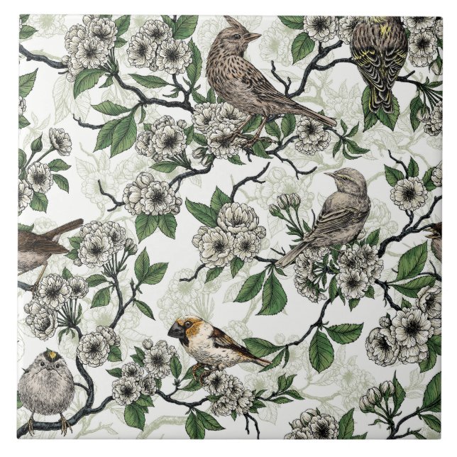 Azulejo De Cerâmica Birds and cherry blossom on white (Frente)