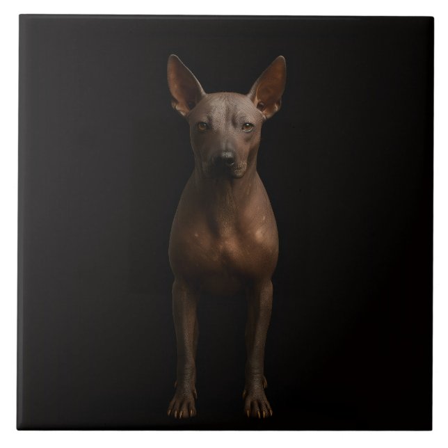 Azulejo De Cerâmica Black 4 Luxe Tile with Argentine Pila Dog (Frente)