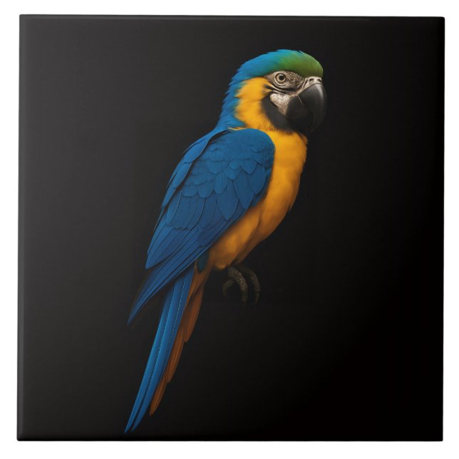 Azulejo De Cerâmica Black 4 Luxe Tile with Blue Yellow Macaw (Frente)