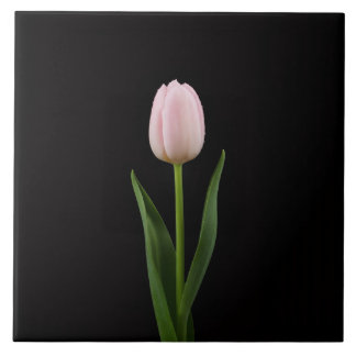 Azulejo De Cerâmica Black 4 Luxe Tile with Blush Pink Tulip