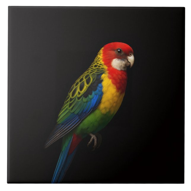 Azulejo De Cerâmica Black 4 Luxe Tile with Eastern Rosella Parrot (Frente)