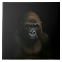 Black 4 Luxe Tile with Gorilla