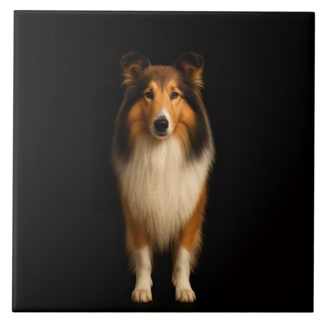 Azulejo De Cerâmica Black 4 Luxe Tile with Loyal Collie Dog (Frente)