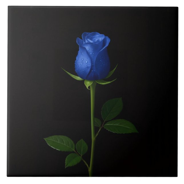 Azulejo De Cerâmica Black 4 Luxe Tile with Midnight Blue Rose (Frente)