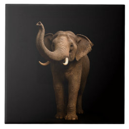 Azulejo De Cerâmica Black 4 Luxe Tile with Mighty Elephant