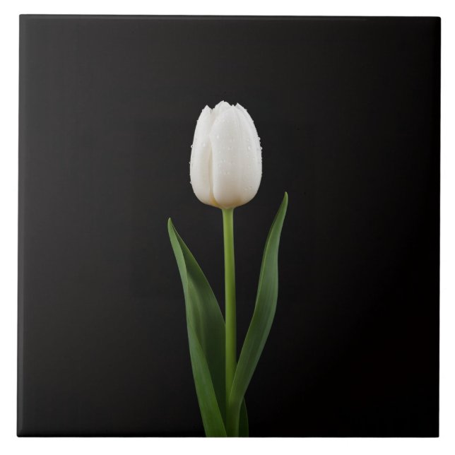 Azulejo De Cerâmica Black 4 Luxe Tile with Pearl White Tulip (Frente)