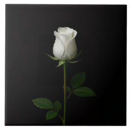 Azulejo De Cerâmica Black 4 Luxe Tile with Pure White Rose