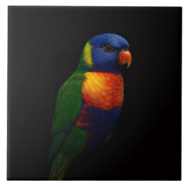 Azulejo De Cerâmica Black 4 Luxe Tile with Rainbow Lorikeet Parrot