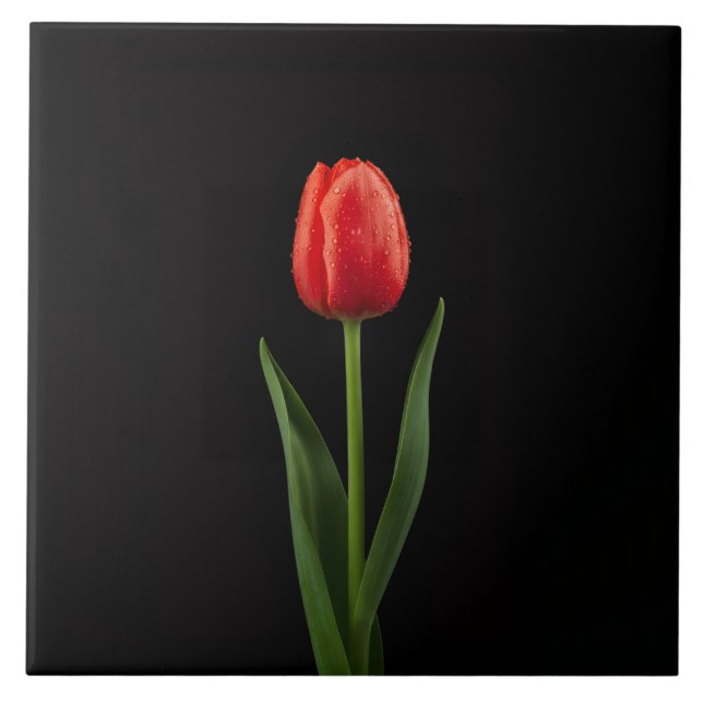 Azulejo De Cerâmica Black 4 Luxe Tile with Ruby Red Tulip (Frente)