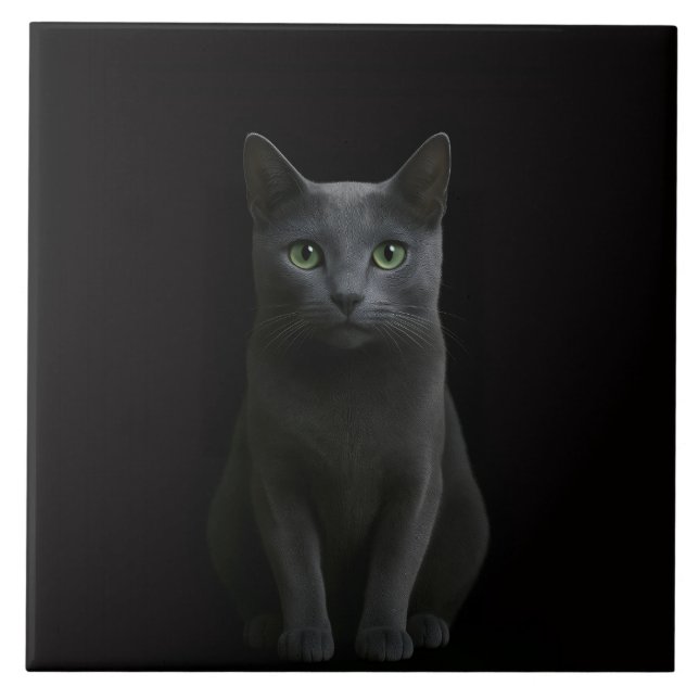 Azulejo De Cerâmica Black 4 Luxe Tile with Russian Blue Cat (Frente)