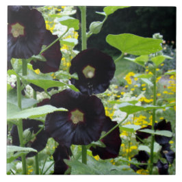 Azulejo De Cerâmica Black Hollyhocks