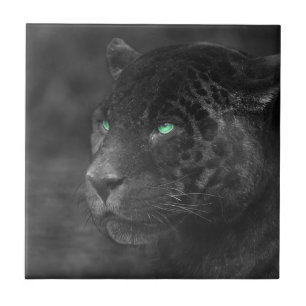 Azulejo De Cerâmica Black Jaguars Emerald Gaze