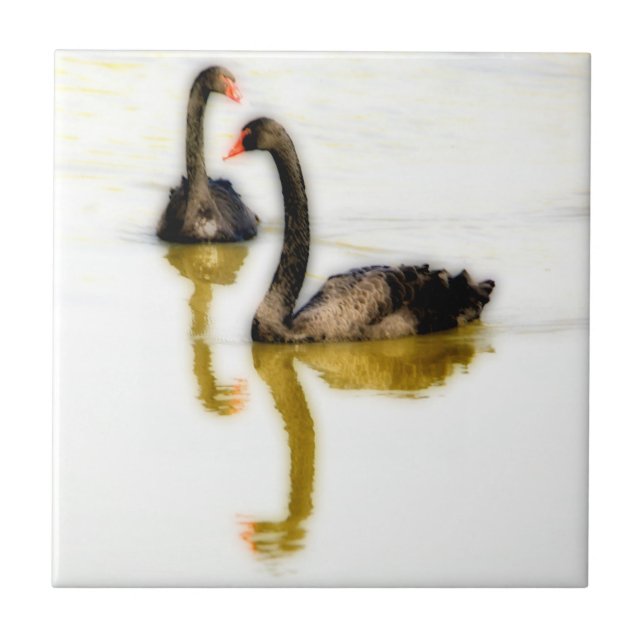 Azulejo de cerâmica Black Swan (Frente)