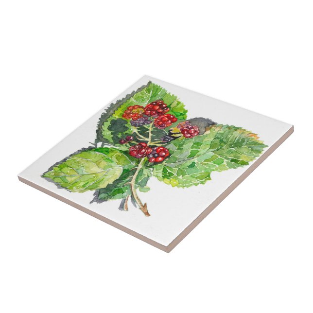 Azulejo De Cerâmica BlackBerry (Lateral)