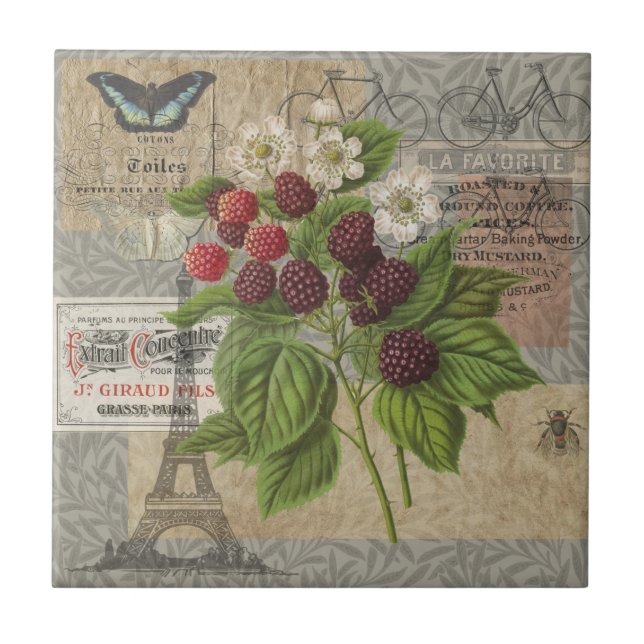 Azulejo De Cerâmica Blackberry Floral Garden Fllower Butfly Art (Frente)