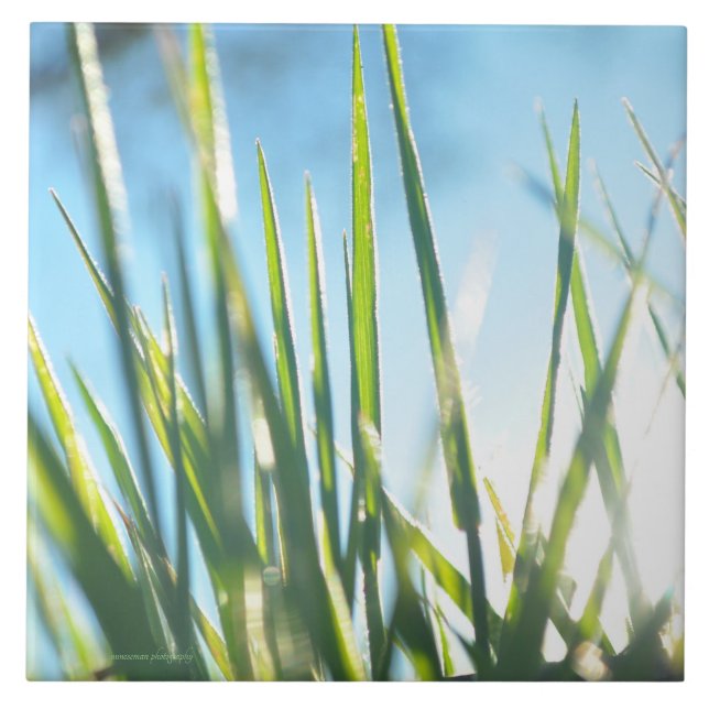 Azulejo De Cerâmica Blades Sunlit (Frente)