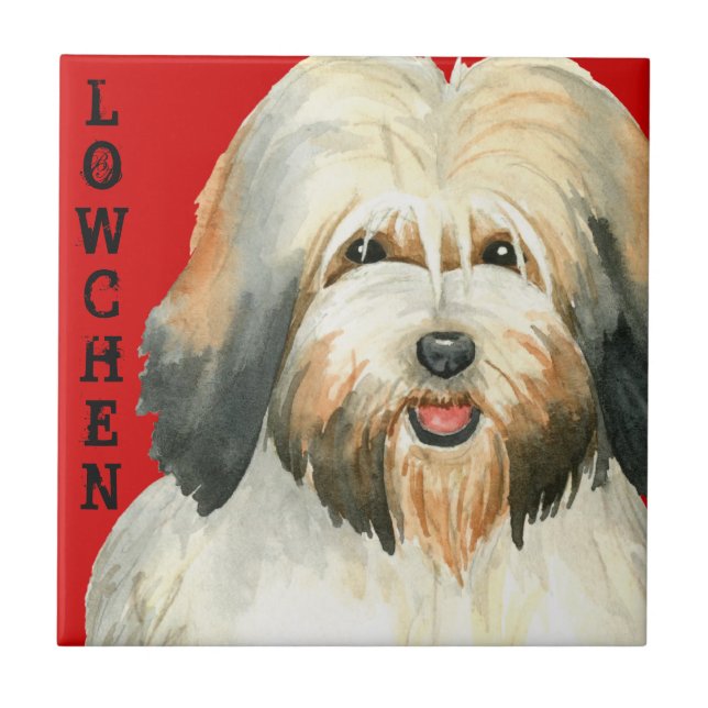 Azulejo De Cerâmica Bloco de cores da cozinha (Frente)