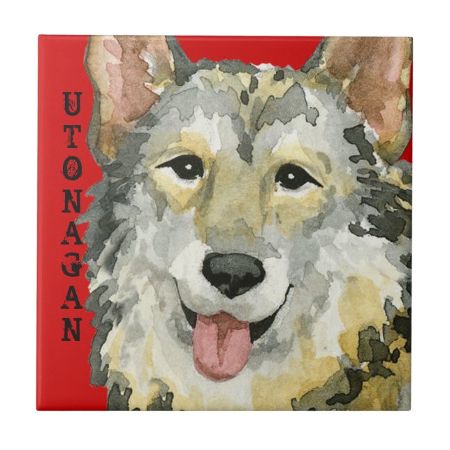 Azulejo De Cerâmica Bloco de Cores Utonagan (Frente)