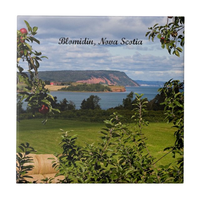 Azulejo De Cerâmica Blomidin, Nova Scotia, Canadá (Frente)